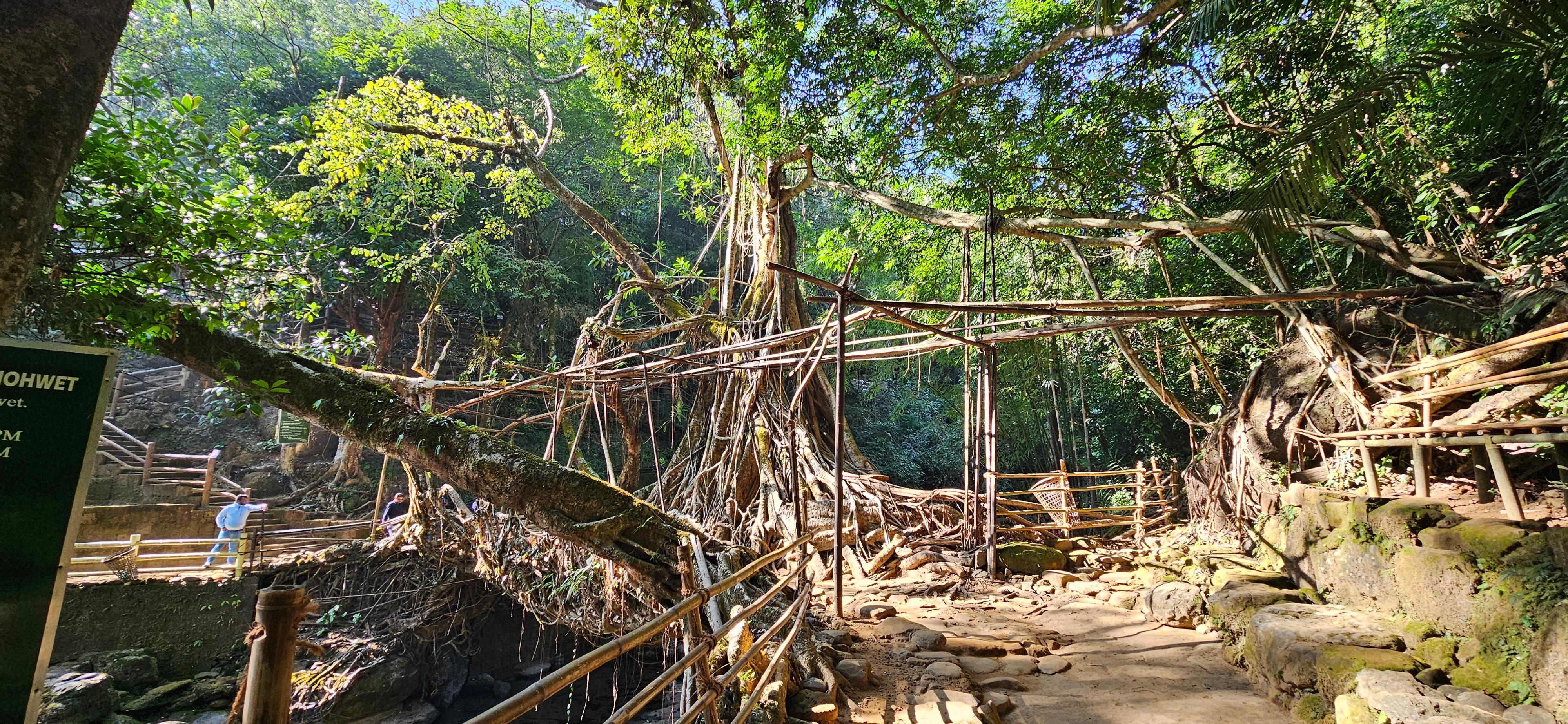 Living Root Bridge Trek