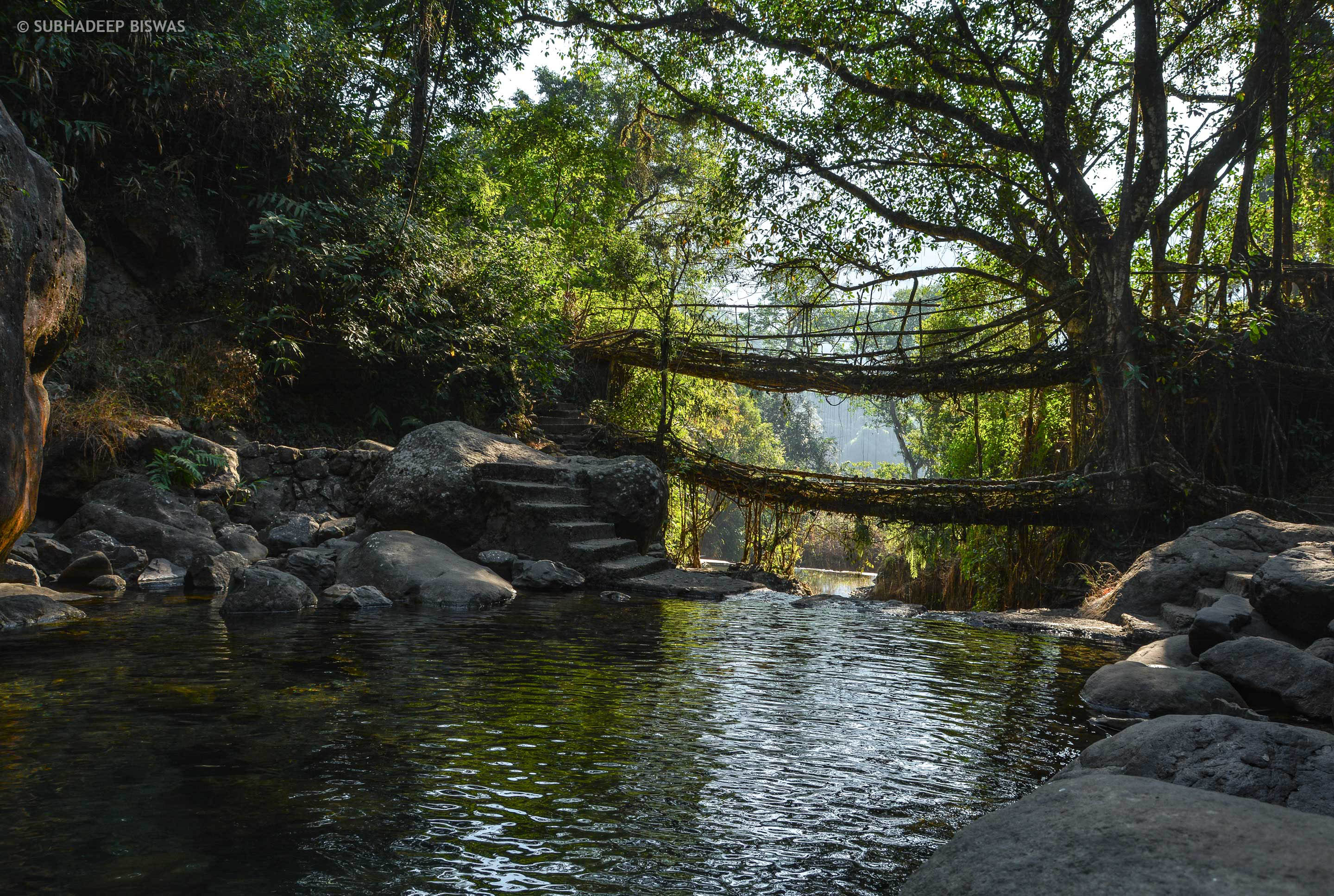 Taxi Service in Shillong to Double decker, Living root bridge